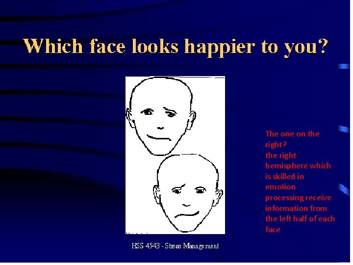 The on the right? the right hemisphere which is skilled in emotion processing receive