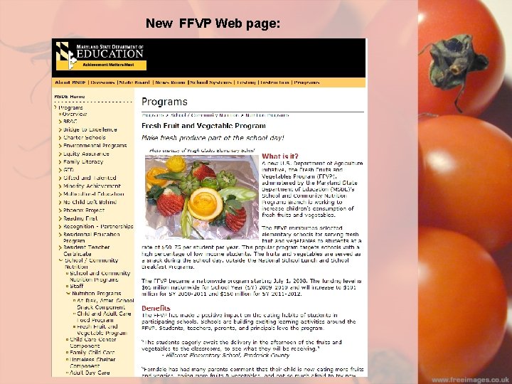New FFVP Web page: 