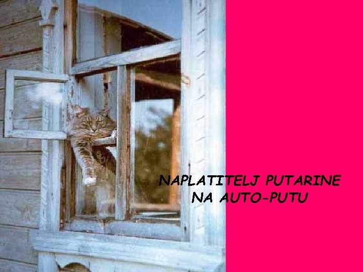 NAPLATITELJ PUTARINE NA AUTO-PUTU 