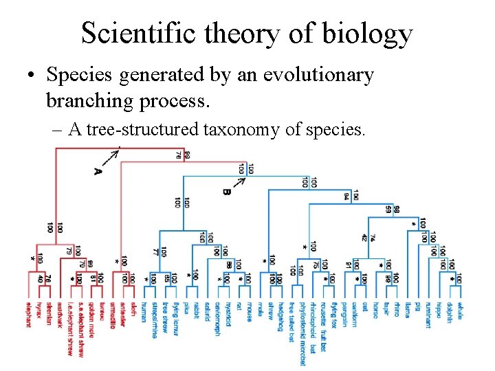 Scientific theory of biology • Species generated by an evolutionary branching process. – A