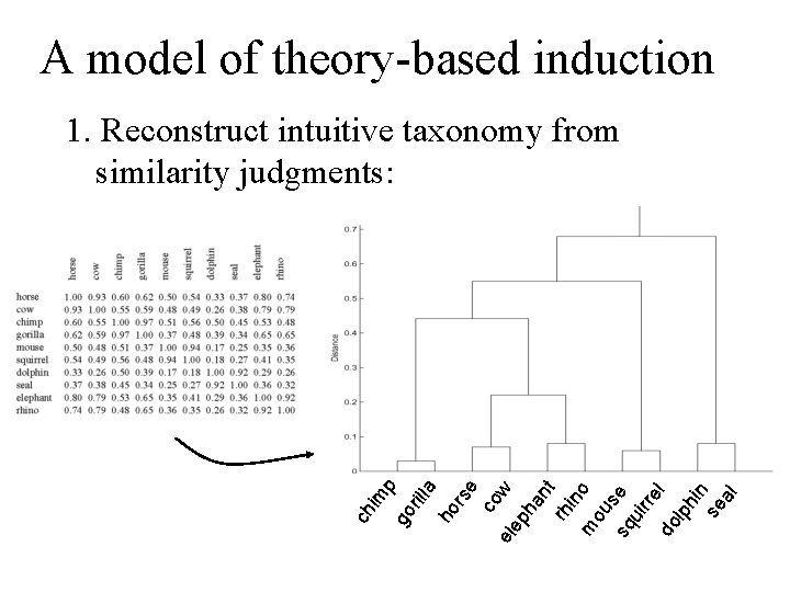 A model of theory-based induction rs e co w el ep ha nt rh