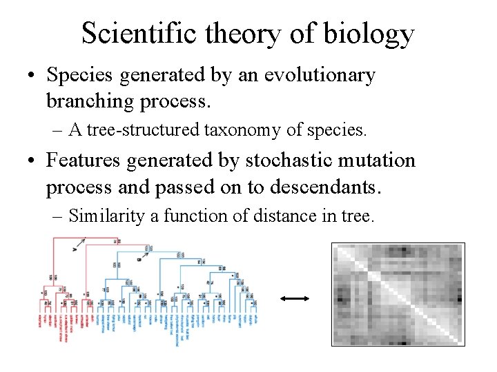 Scientific theory of biology • Species generated by an evolutionary branching process. – A