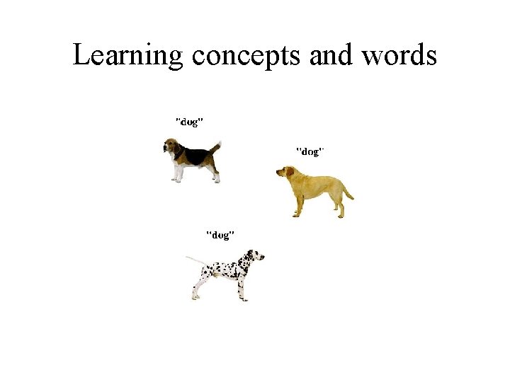 Learning concepts and words 