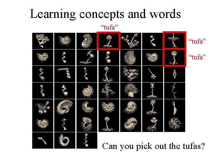 Learning concepts and words “tufa” Can you pick out the tufas? 