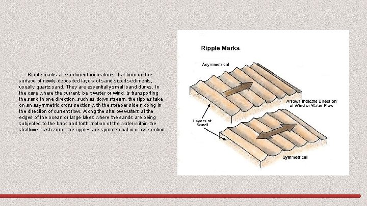 Ripple marks are sedimentary features that form on the surface of newly-deposited layers of