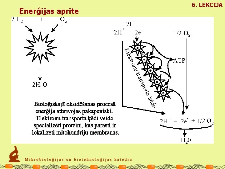 Enerģijas aprite 6. LEKCIJA 