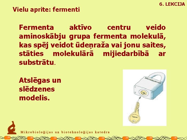 Vielu aprite: fermenti 6. LEKCIJA Fermenta aktīvo centru veido aminoskābju grupa fermenta molekulā, kas