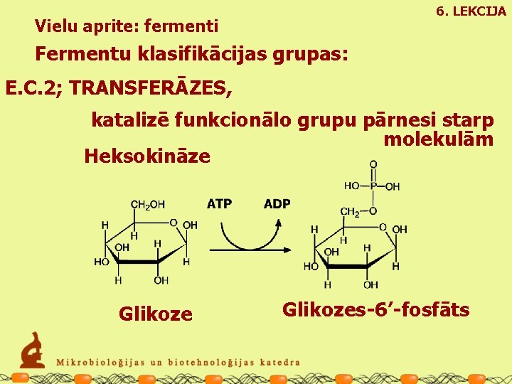 6. LEKCIJA Vielu aprite: fermenti Fermentu klasifikācijas grupas: E. C. 2; TRANSFERĀZES, katalizē funkcionālo