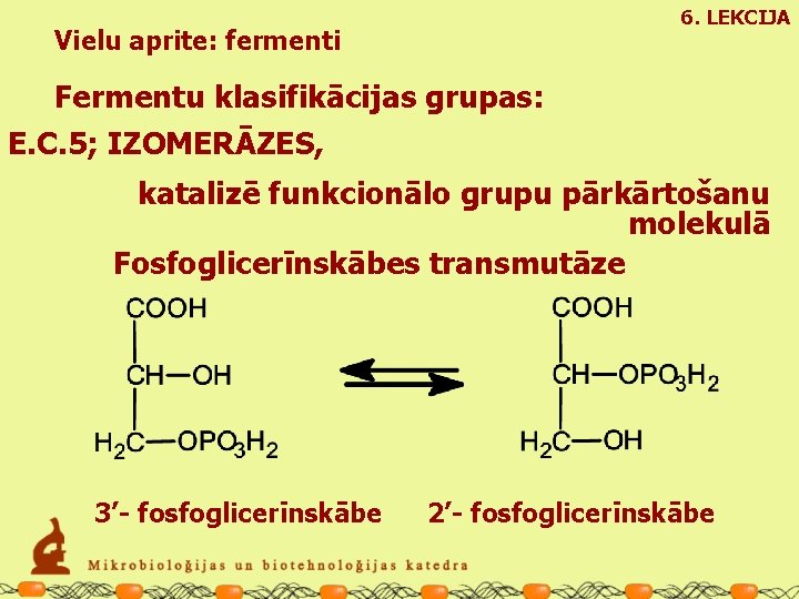 6. LEKCIJA Vielu aprite: fermenti Fermentu klasifikācijas grupas: E. C. 5; IZOMERĀZES, katalizē funkcionālo