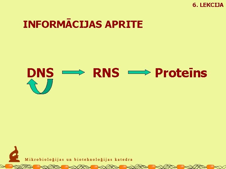 6. LEKCIJA INFORMĀCIJAS APRITE DNS RNS Proteīns 