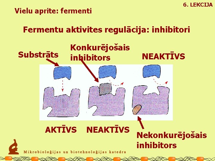 Vielu aprite: fermenti 6. LEKCIJA Fermentu aktivites regulācija: inhibitori Substrāts Konkurējošais inhibitors AKTĪVS NEAKTĪVS