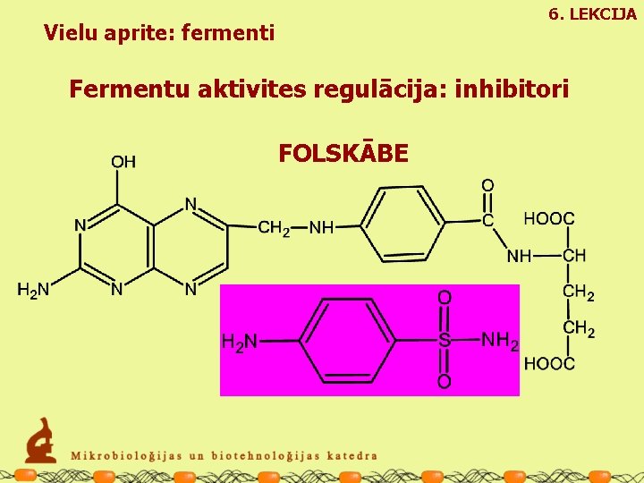 6. LEKCIJA Vielu aprite: fermenti Fermentu aktivites regulācija: inhibitori FOLSKĀBE 