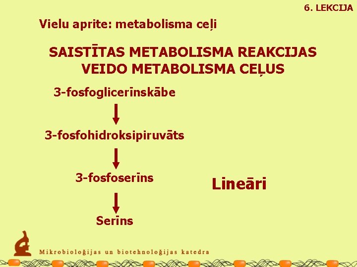 6. LEKCIJA Vielu aprite: metabolisma ceļi SAISTĪTAS METABOLISMA REAKCIJAS VEIDO METABOLISMA CEĻUS 3 -fosfoglicerīnskābe