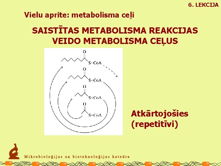 6. LEKCIJA Vielu aprite: metabolisma ceļi SAISTĪTAS METABOLISMA REAKCIJAS VEIDO METABOLISMA CEĻUS Atkārtojošies (repetitīvi)