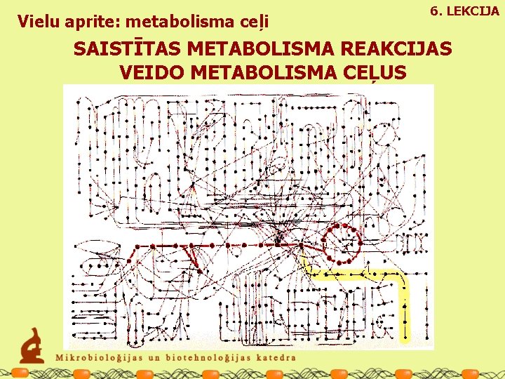 Vielu aprite: metabolisma ceļi 6. LEKCIJA SAISTĪTAS METABOLISMA REAKCIJAS VEIDO METABOLISMA CEĻUS 