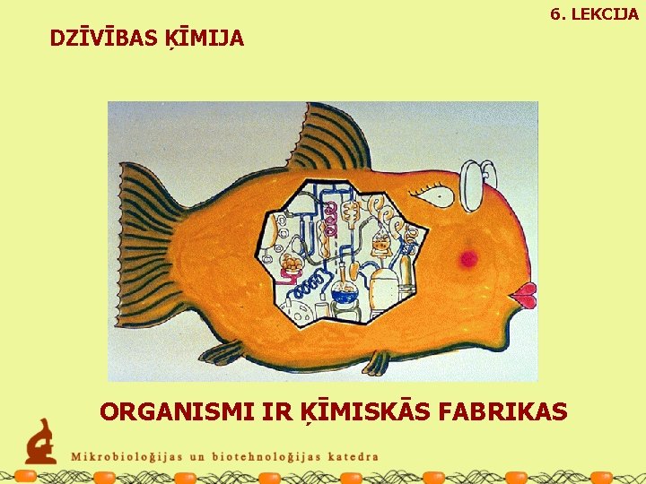 6. LEKCIJA DZĪVĪBAS ĶĪMIJA ORGANISMI IR ĶĪMISKĀS FABRIKAS 