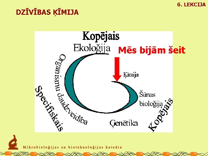 6. LEKCIJA DZĪVĪBAS ĶĪMIJA Mēs bijām šeit 