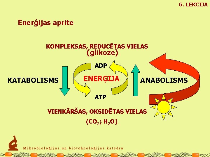 6. LEKCIJA Enerģijas aprite KOMPLEKSAS, REDUCĒTAS VIELAS (glikoze) ADP KATABOLISMS ENERĢIJA ANABOLISMS ATP VIENKĀRŠAS,
