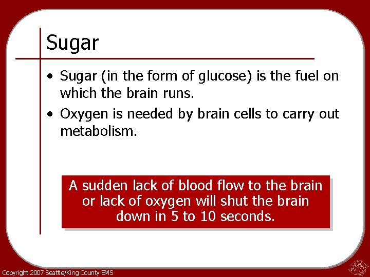 Sugar • Sugar (in the form of glucose) is the fuel on which the