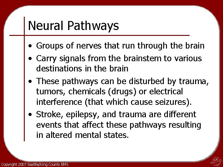 Neural Pathways • Groups of nerves that run through the brain • Carry signals