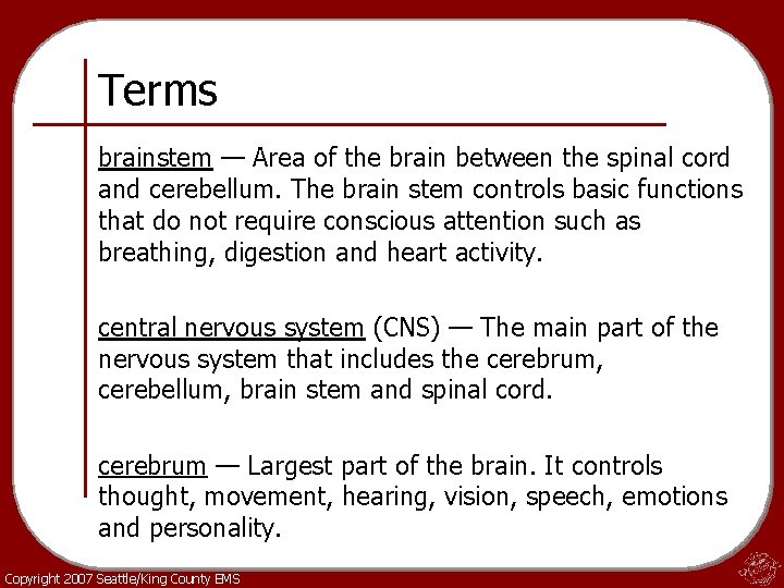 Terms brainstem — Area of the brain between the spinal cord and cerebellum. The