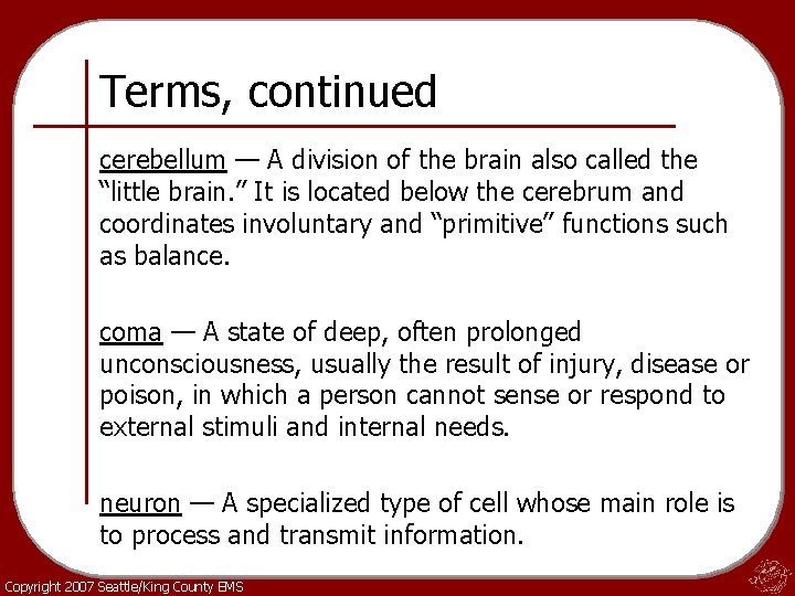 Terms, continued cerebellum — A division of the brain also called the “little brain.