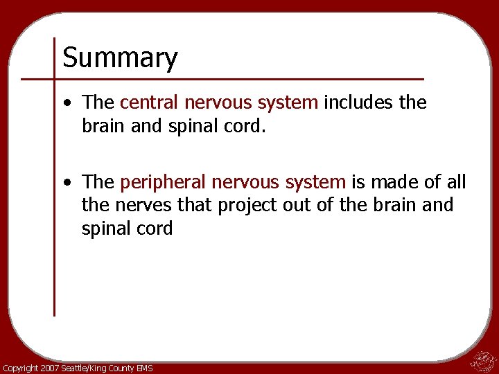 Summary • The central nervous system includes the brain and spinal cord. • The