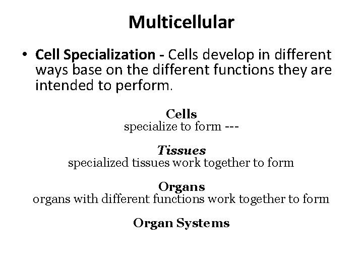 Multicellular • Cell Specialization - Cells develop in different ways base on the different