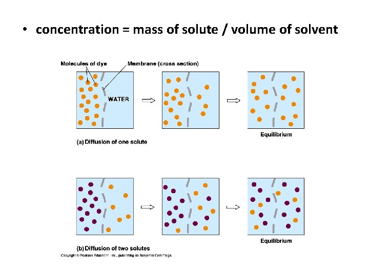  • concentration = mass of solute / volume of solvent 
