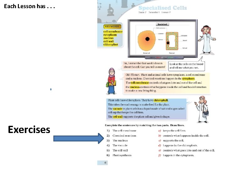 Each Lesson has. . . Exercises 