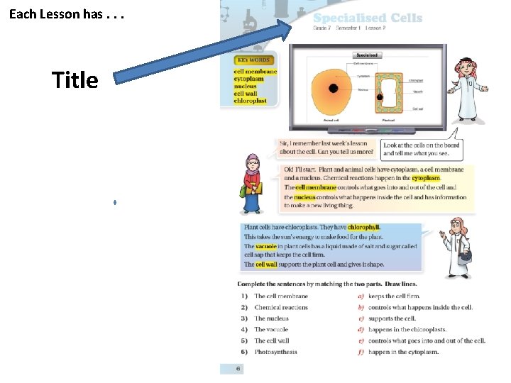 Each Lesson has. . . Title 