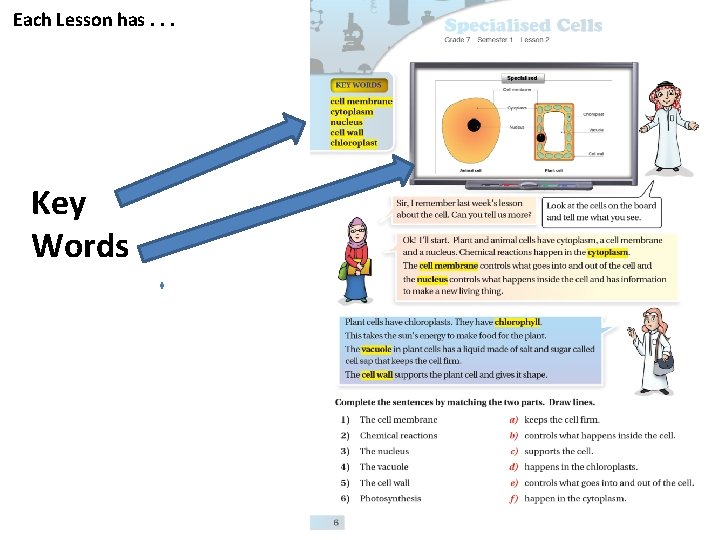 Each Lesson has. . . Key Words 