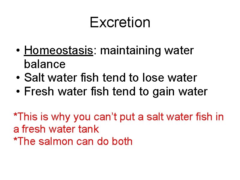 Excretion • Homeostasis: maintaining water balance • Salt water fish tend to lose water