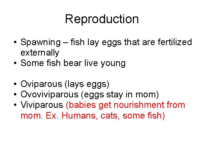 Reproduction • Spawning – fish lay eggs that are fertilized externally • Some fish