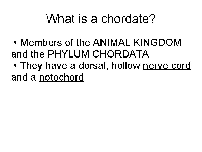 What is a chordate? • Members of the ANIMAL KINGDOM and the PHYLUM CHORDATA