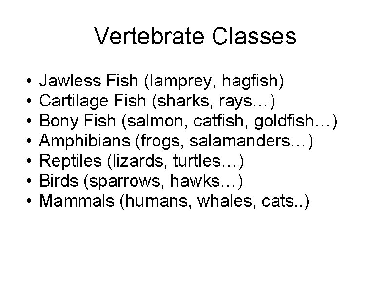 Vertebrate Classes • • Jawless Fish (lamprey, hagfish) Cartilage Fish (sharks, rays…) Bony Fish