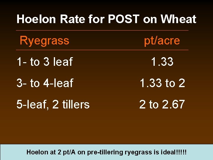 Hoelon Rate for POST on Wheat Ryegrass pt/acre 1 - to 3 leaf 1.