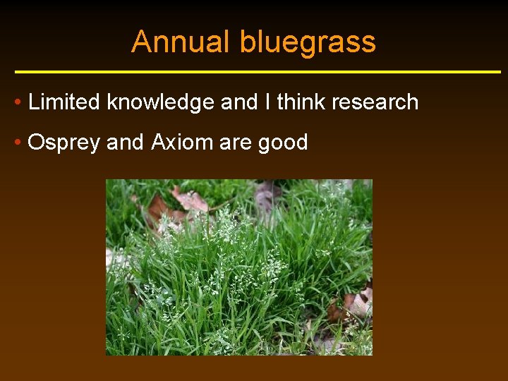 Annual bluegrass • Limited knowledge and I think research • Osprey and Axiom are