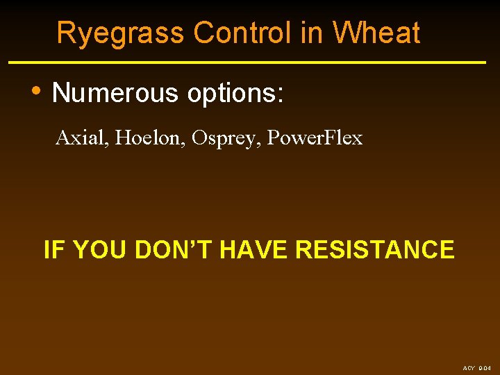 Ryegrass Control in Wheat • Numerous options: Axial, Hoelon, Osprey, Power. Flex IF YOU