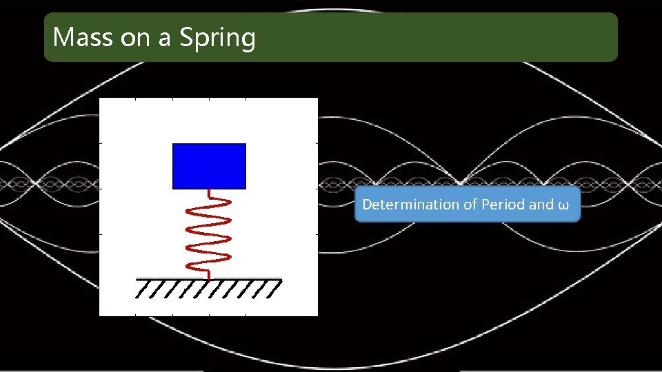 Mass on a Spring Determination of Period and ω 