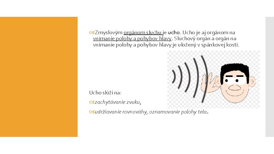  Zmyslovým orgánom sluchu je ucho. Ucho je aj orgánom na vnímanie polohy a