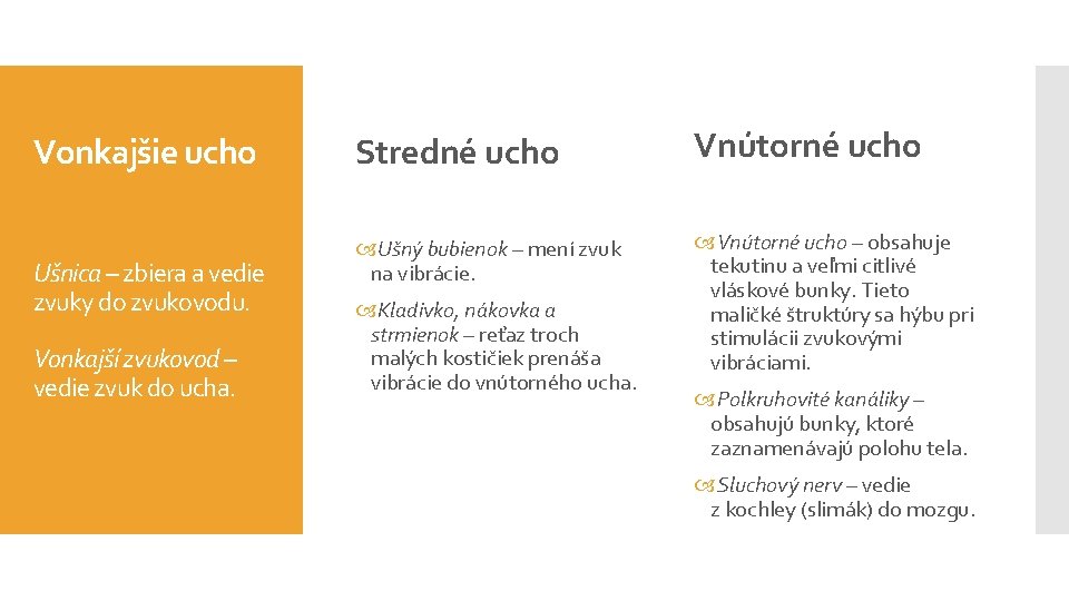 Vonkajšie ucho Ušnica – zbiera a vedie zvuky do zvukovodu. Vonkajší zvukovod – vedie