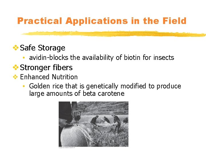 Practical Applications in the Field v Safe Storage • avidin-blocks the availability of biotin