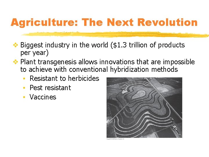 Agriculture: The Next Revolution v Biggest industry in the world ($1. 3 trillion of