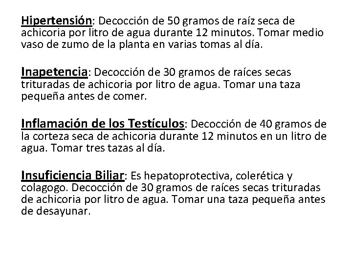 Hipertensión: Decocción de 50 gramos de raíz seca de achicoria por litro de agua