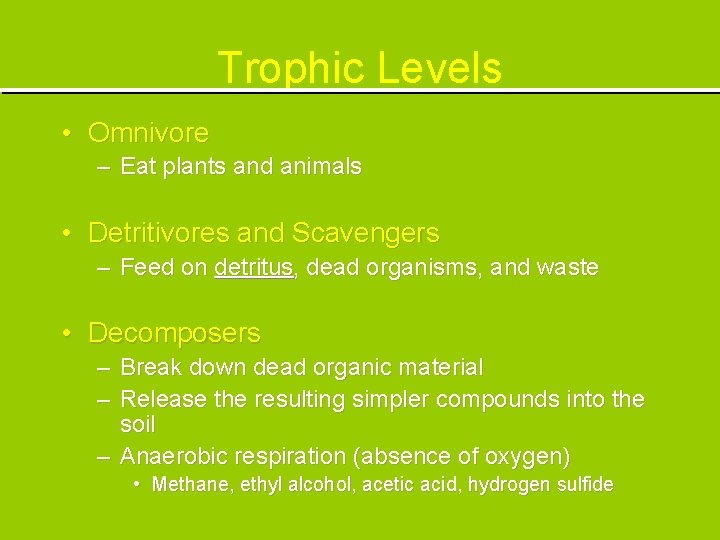 Trophic Levels • Omnivore – Eat plants and animals • Detritivores and Scavengers –