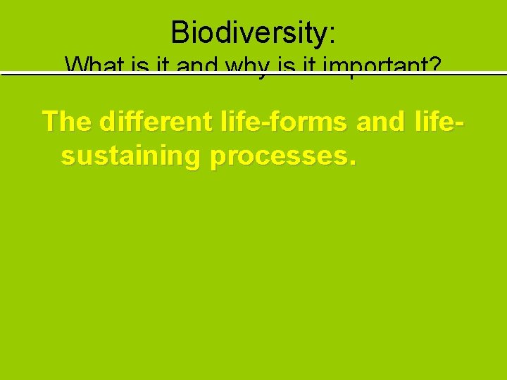 Biodiversity: What is it and why is it important? The different life-forms and lifesustaining