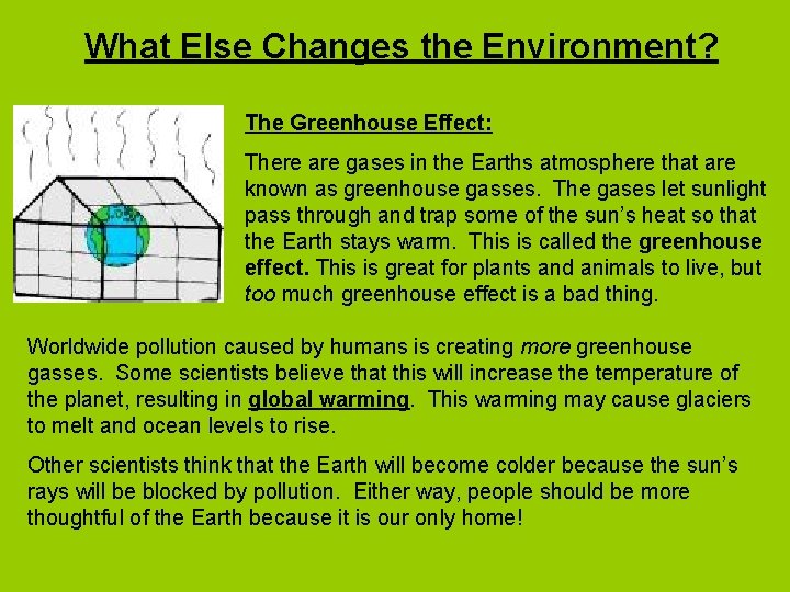 What Else Changes the Environment? The Greenhouse Effect: There are gases in the Earths