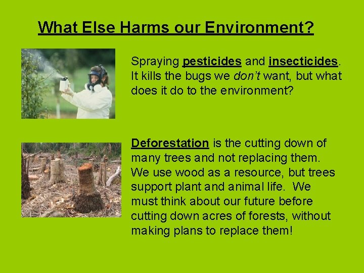What Else Harms our Environment? Spraying pesticides and insecticides. It kills the bugs we