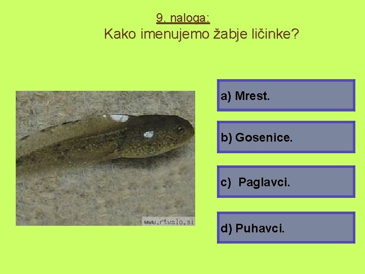 9. naloga: Kako imenujemo žabje ličinke? a) Mrest. b) Gosenice. c) Paglavci. d) Puhavci.